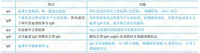 免疫球蛋白的結(jié)構和功能