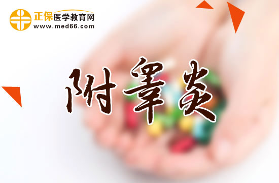 附睪炎分幾類？臨床表現(xiàn)有何特點？