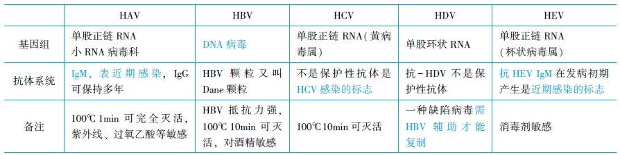 病毒性肝炎的生理學性狀