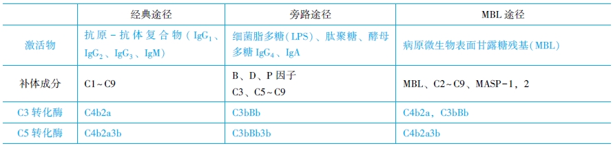 補體系統(tǒng)的激活途徑