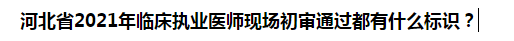 河北省2021年臨床執(zhí)業(yè)醫(yī)師現(xiàn)場初審?fù)ㄟ^都有什么標(biāo)識？