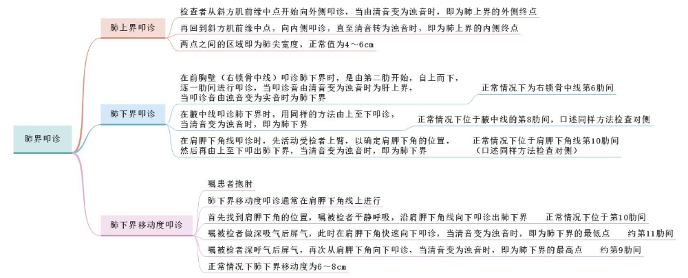 體格檢查——肺界叩診、肺下界移動度叩診