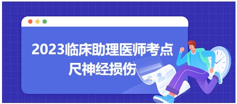 2023臨床助理醫(yī)師考點尺神經損傷