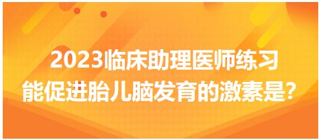 2023臨床助理醫(yī)師練習(xí)-促進(jìn)胎兒腦發(fā)育的激素是？