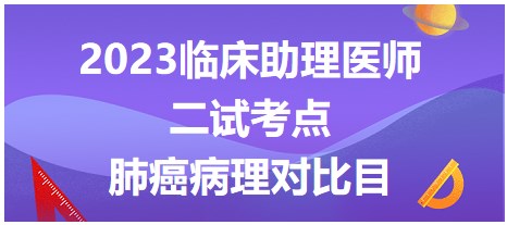 肺癌病理對比目