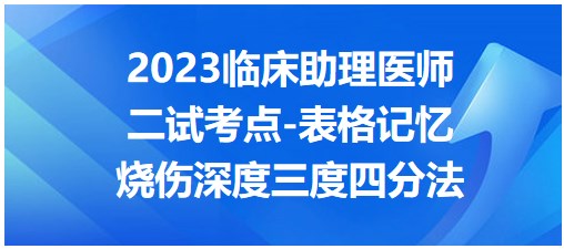 燒傷深度三度四分法